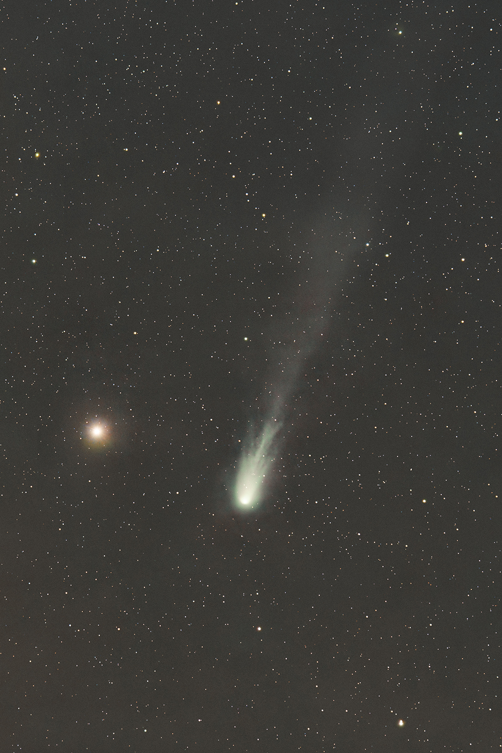 Comet Neowise